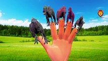 Dinosaurs Cartoons For Children Nursery Rhymes| Dinosaurs Cartoon Finger Family Collection