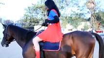 Batman Superman Horse Riding Compilation | Batgirl Vs SuperGirl | Fun SuperHero Movie In Real Life