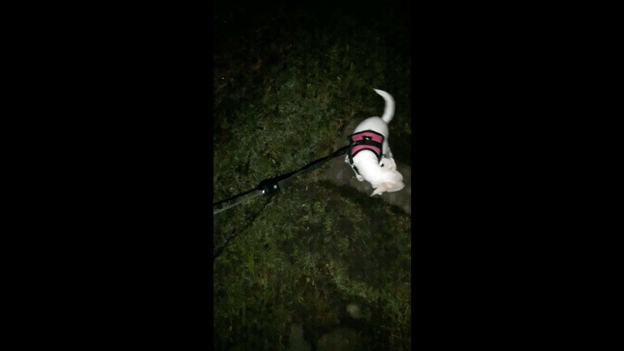 Skyla macht das erste Mal