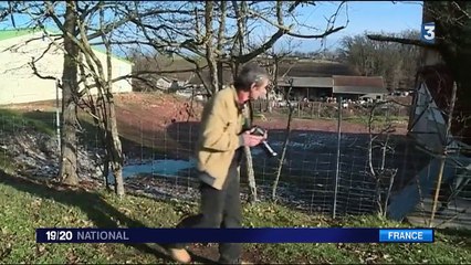 Grippe aviaire : une enquête ouverte dans le sud-ouest