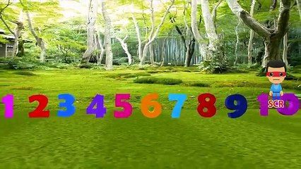 Finger Family Rhymes | Animals Children Nursery Rhymes Collections | Animals Cartoon For Children