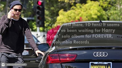 Harry Styles Promises 'Authenticity' on Debut Solo Album