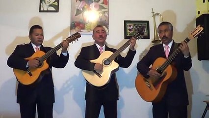 Tríos en Tlalpan T- 50267690 Serenatas