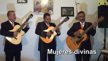 Trios en Venustiano Carranza T: 50267941 Románticos