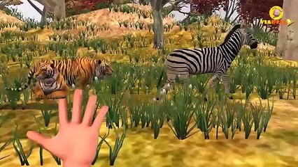 Little Baby Pig learning Colors with Dinosaurs | Animal Finger Family Nursery Rhymes for Kids