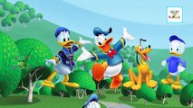 Donald Duck Cartoon Finger Family Songs | Daddy Finger Nursery Rhymes | Cartoon 2d Animations