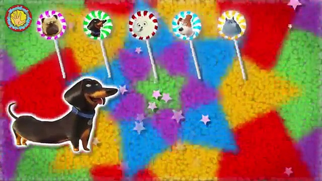 Secret Life Of Pets Lollipop Finger Family. Secret Life Of Pets Nursery Rhymes Lyrics