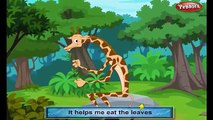 Giraffe Rhyme | Animal Rhymes for Children | Nursery Rhymes for Kids | Most Popular Rhymes HD