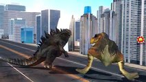 Dinosaurs Vs King Kong Cartoons For Children And Dinosaur vs Godzilla Finger Family Nursery Rhymes