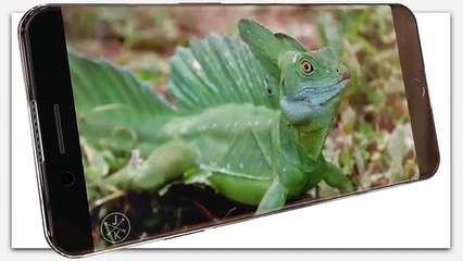 iPhone 7 Edge Trailer ⁽ᶜᵒᶰᶜᵉᵖᵗ ᵛᶦᵈᵉᵒ⁾