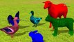 Learn colors 3d Dinosaur With Text lesson for Nursery Children Finger Family Rhymes