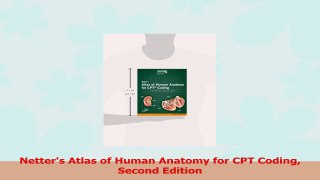 Netters Atlas of Human Anatomy for CPT Coding Second Edition