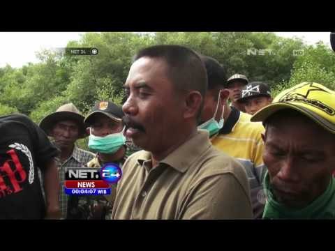 Proses Otopsi Tuntas 12 Paus Raksasa Dikubur Secara Massal - NET24