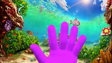 Sea Animals Finger Family Sharks Dolphin And Crocodile Cartoons Finger Family Nursery Rhymes