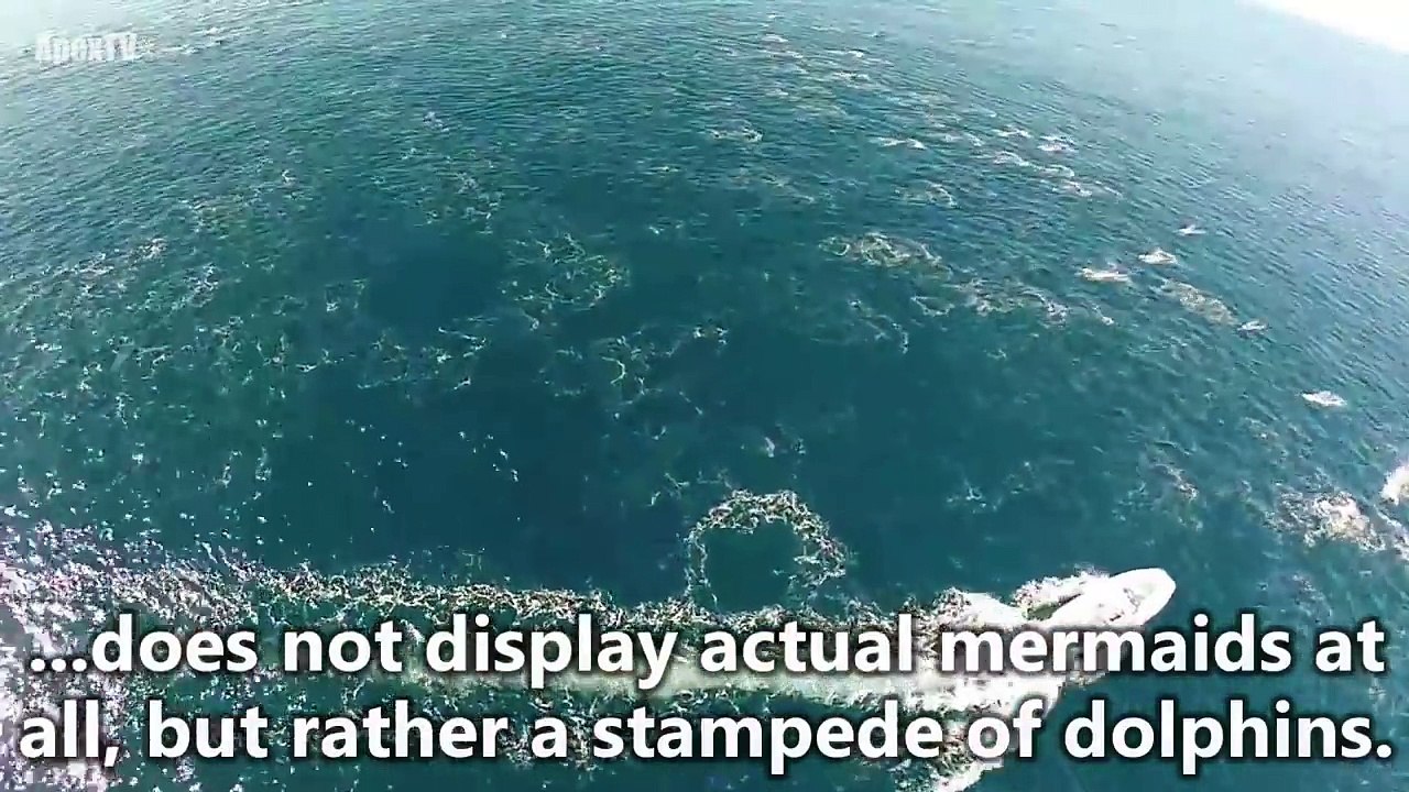 A mers cu prietenii pe mare să se relaxeze și au surprins sute de SIRENE. Să fie oare adevărat?