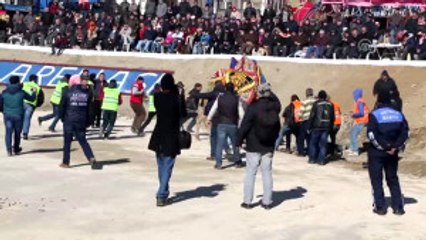 Edremit Deve Güreşleri Yapıldı