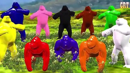 Сумасшедшая Горилла Цветные Цветовой Композиции || Обучения Потешки Для Малышей Rhymes Коллекция