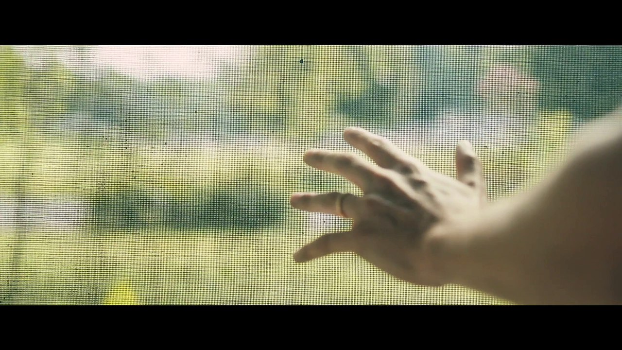 The Ticket movie