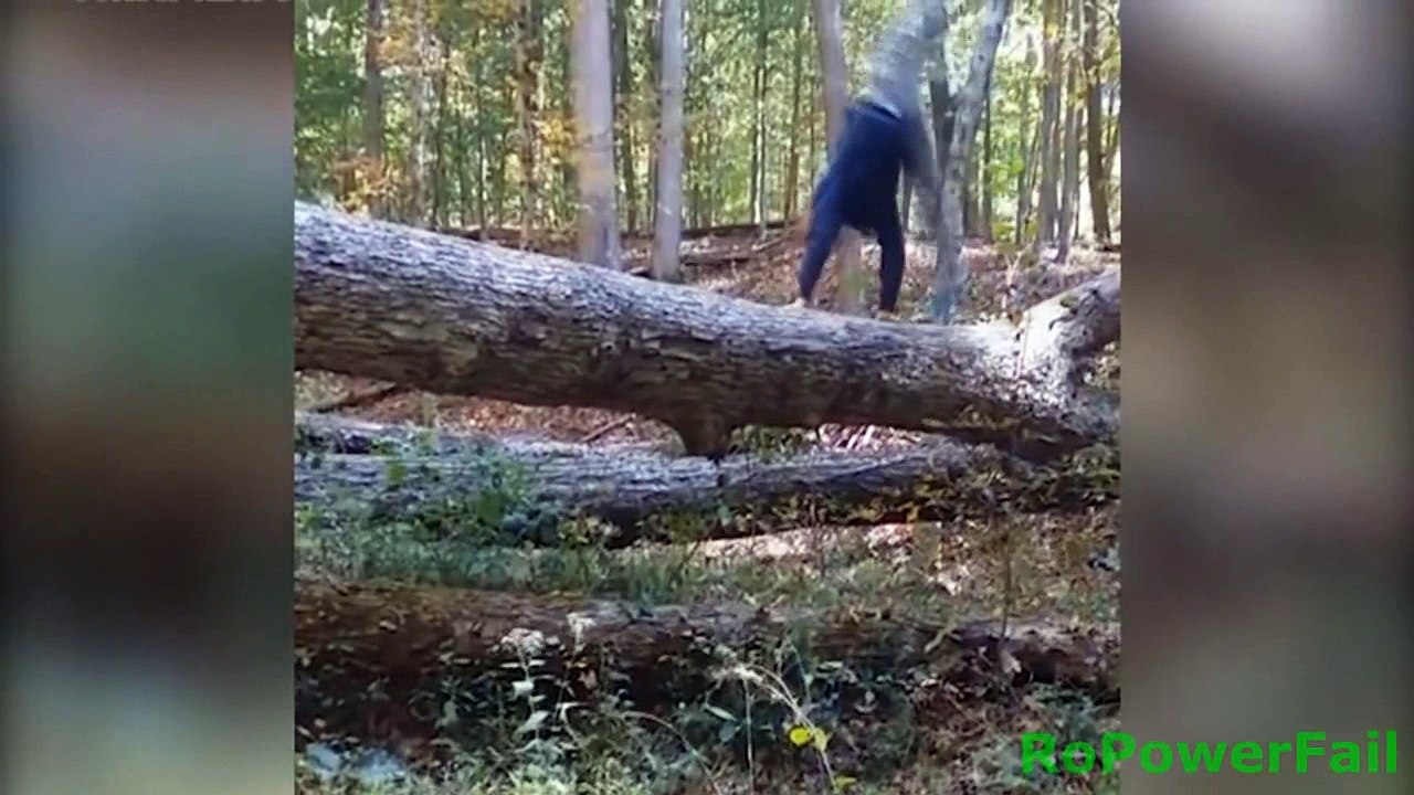 funny videos - Eighth part