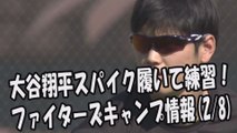 日本ハム 大谷翔平スパイク履いて練習！ファイターズキャンプ情報 2017.2.8 プロ野球