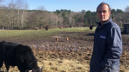 Stéphane Dinard, éleveur en Dordogne est contre les abattoirs. Ses bêtes doivent être tuées chez lui, à la ferme.