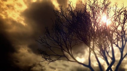 Resident Evil 7 en réalité virtuelle, la peur encore plus réelle