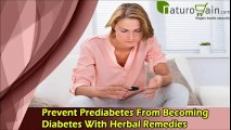 Prevent Prediabetes From Becoming Diabetes With Herbal Remedies