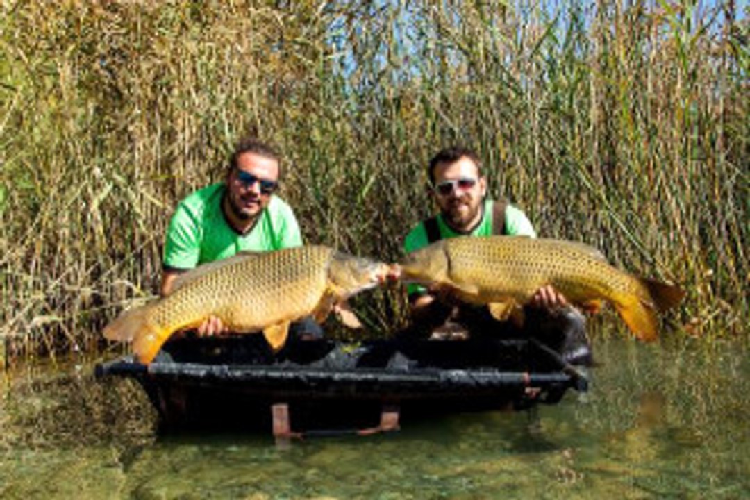 Koca Koca Balıkları Tutup Tekrar Göle Bırakıyorlar