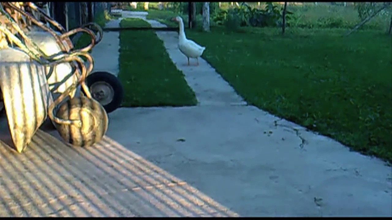 Spirit Sound Kroatien Folge 14 /Full Film/Complete Movie/Ganzer Film