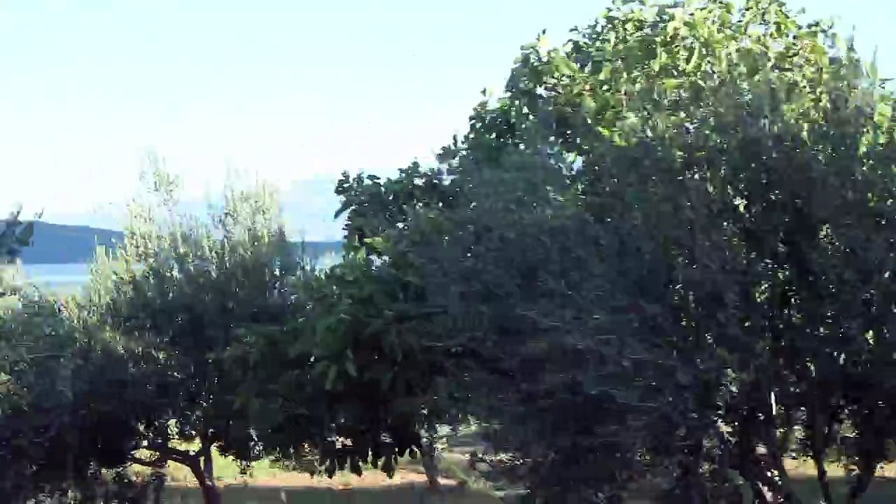 Spirit Sound Kroatien Folge 22 /Full Film/Complete Movie/Ganzer Film