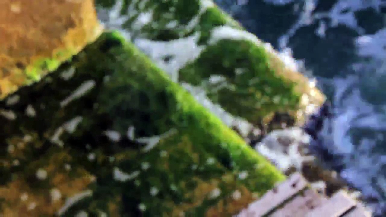 Spirit Sound Kroatien Folge 18 /Full Film/Complete Movie/Ganzer Film