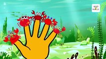 Finger Family Cartoon Crab Nursery Rhyme | Animation Children Songs for Children Babies