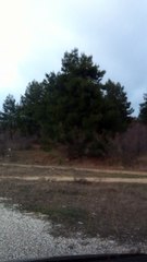 Nimfea-Komotini-Greece