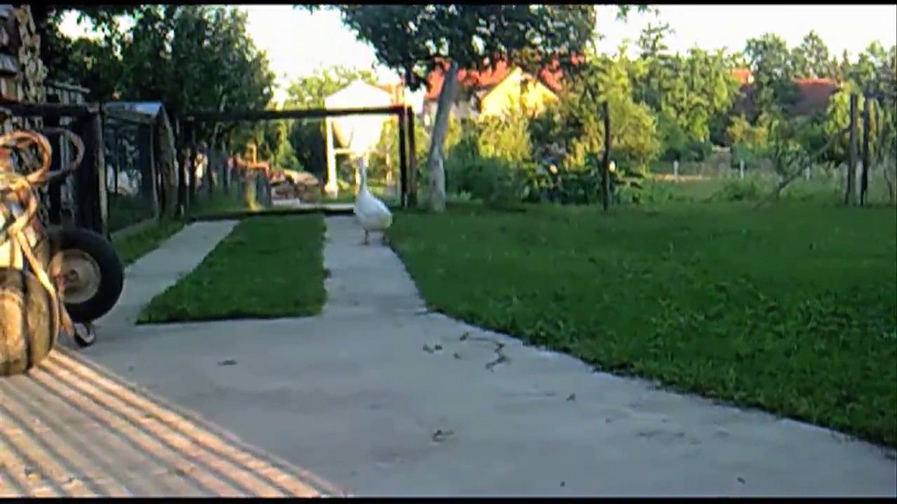 Spirit Sound Kroatien Folge 24 /Full Film/Complete Movie/Ganzer Film