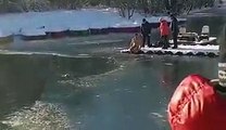 Un homme qui plonge dans l'eau glacée pour sauver un chien