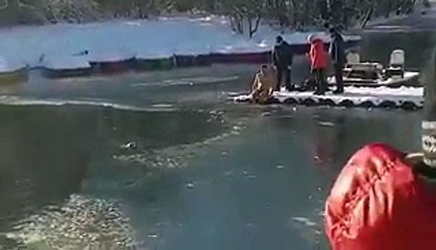 Un homme qui plonge dans l'eau glacée pour sauver un chien
