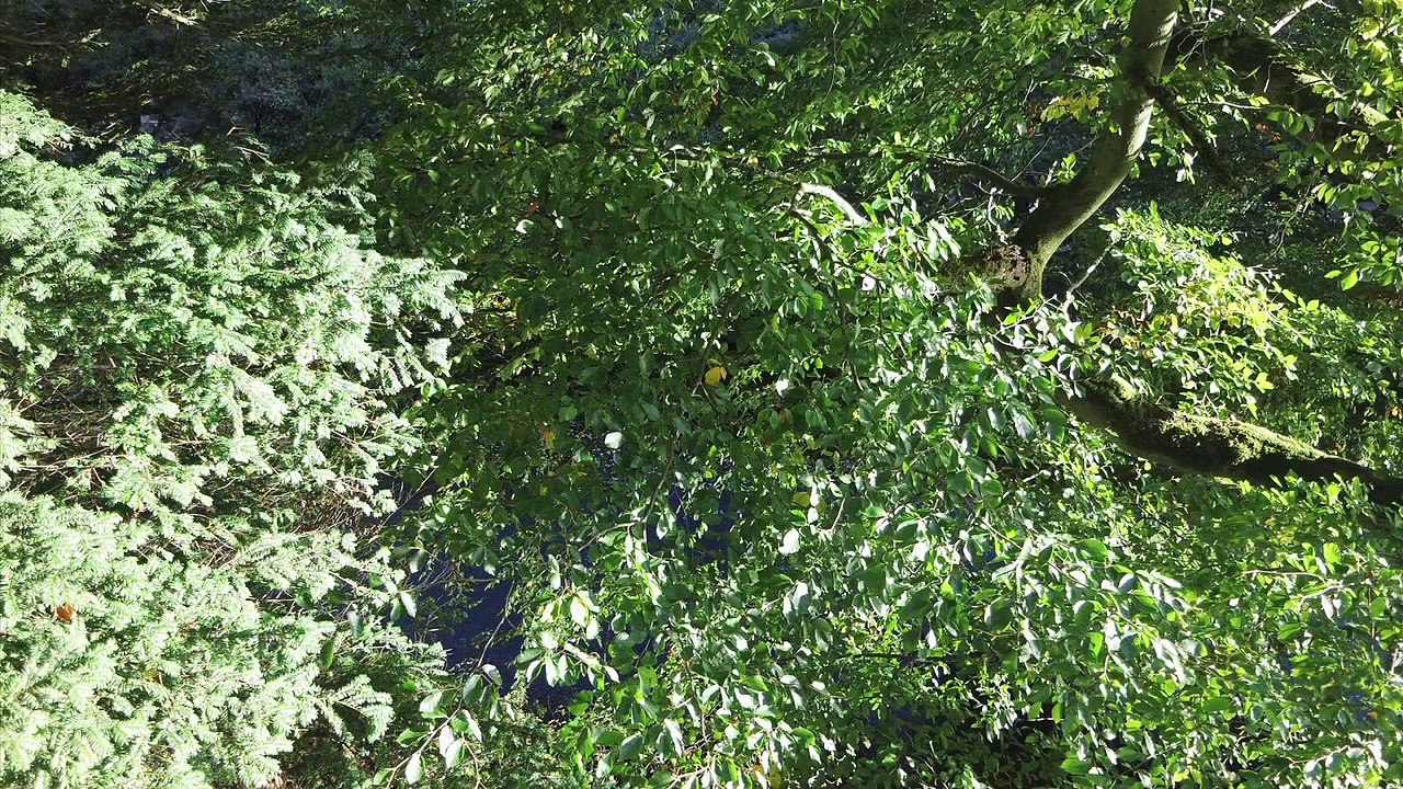 The Spirit of North England Folge 13 /Full Film/Complete Movie/Ganzer Film