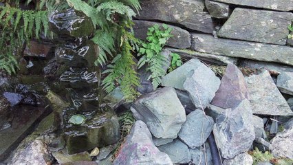 The Spirit of North England Folge 16 /Full Film/Complete Movie/Ganzer Film