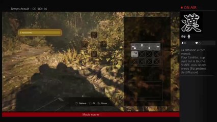 Diffusion PS4 en direct de dx-sword- (46)