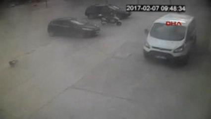 Kemer Minibüsün Ezdiği Köpeklerden Biri Öldü