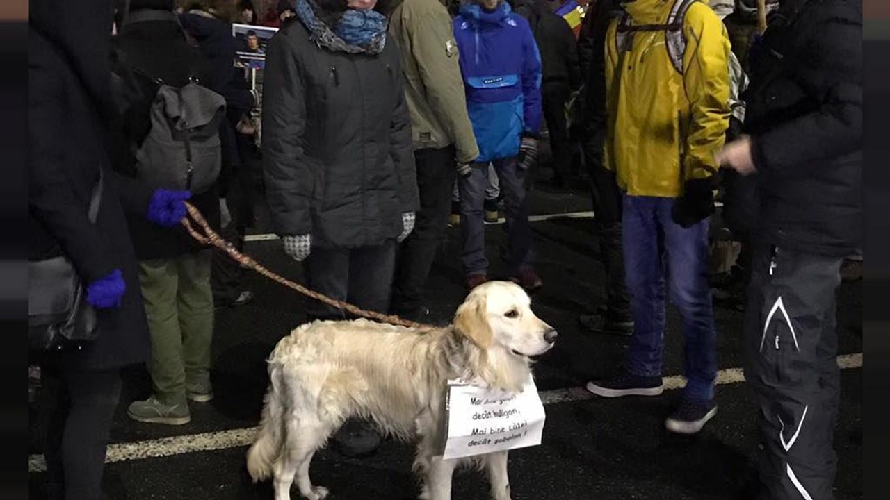 Romanian protesters brave the cold to continue defiance