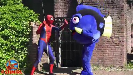 Finding Dory & Spiderman in Real Life - Spider-man is Fishing to Find Dory With The Hulk - SHMIRL