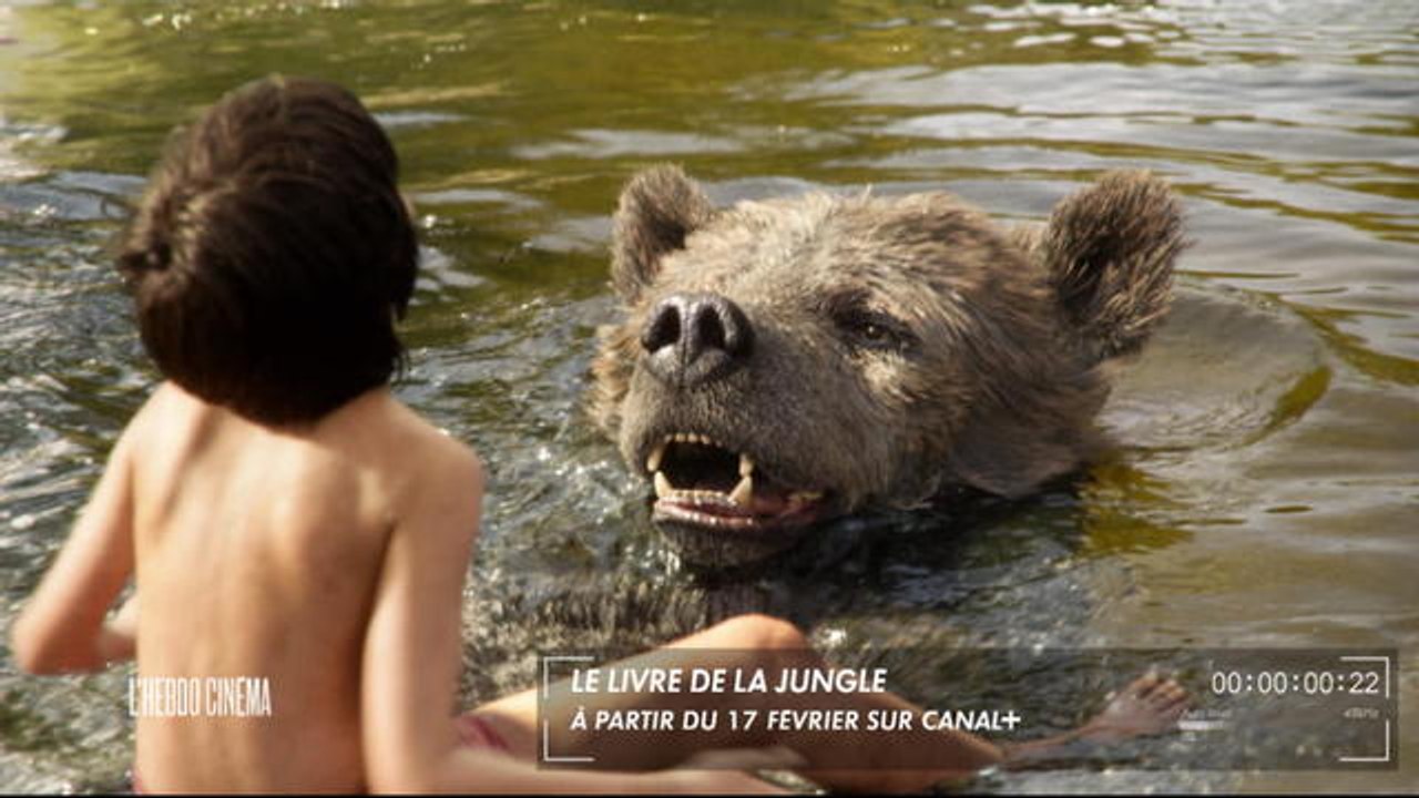 La BA de Francois - Le livre de la jungle, Rosalie Blum, Black et Arrêtez-moi là