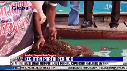 Kegiatan Partai Perindo