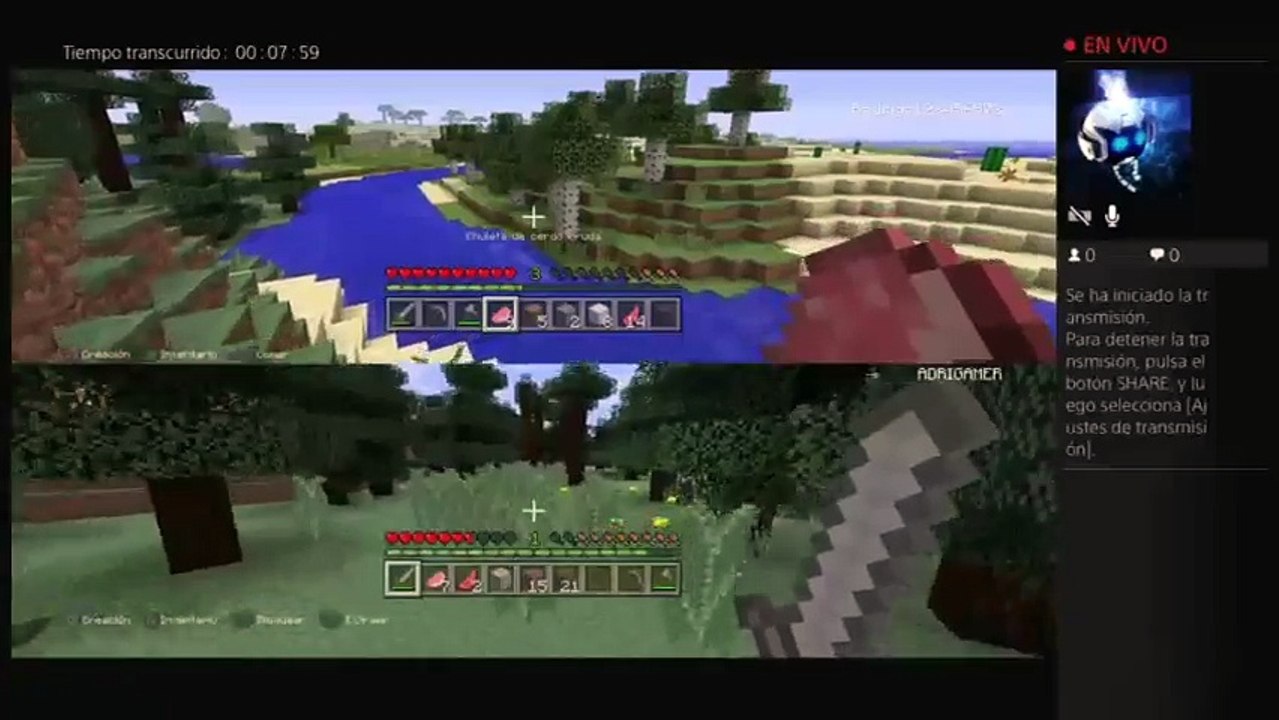 Minecraft (11)