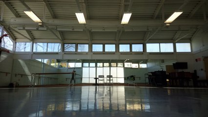 Talisman male variation