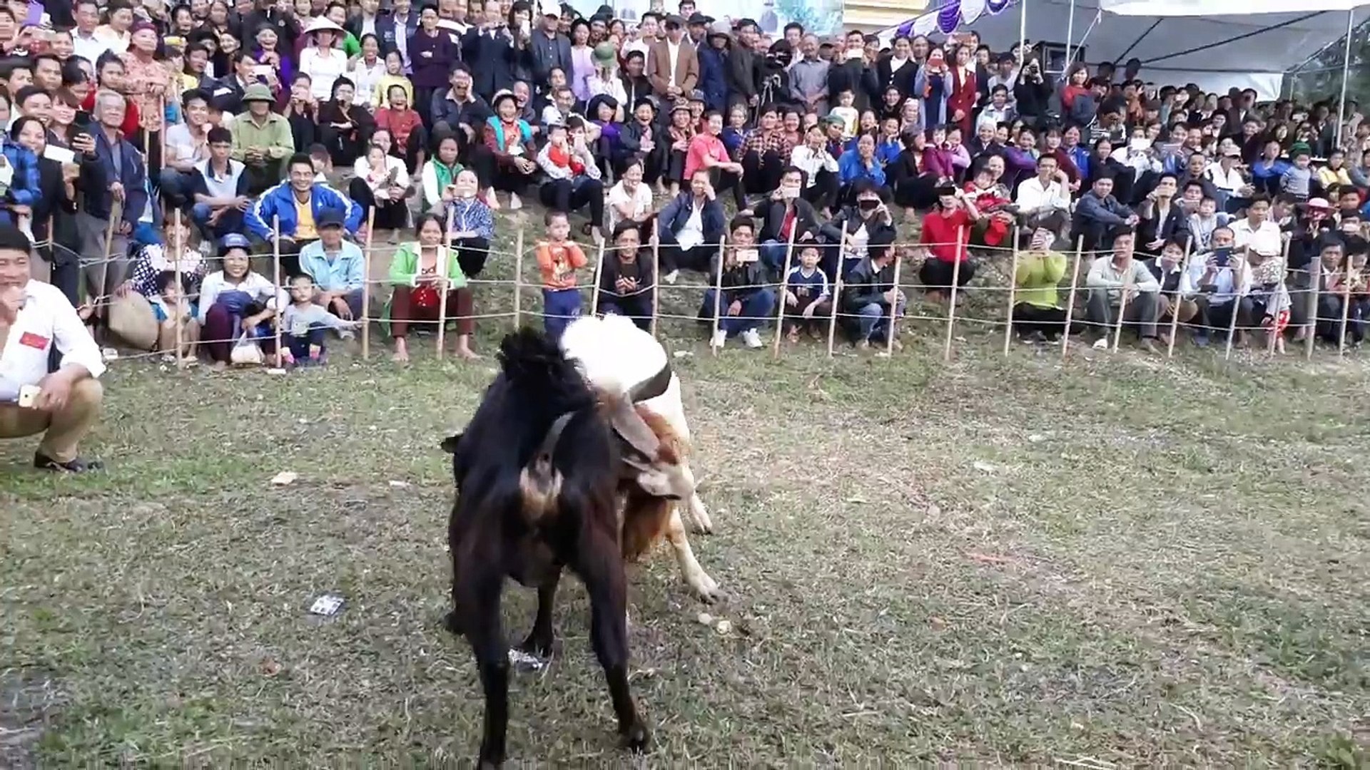 Lễ hội trọi dê - Thôn Đồng Dong - Xã Quang Yên - Huyện Sông Lô