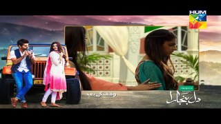 Dil Banjaara Episode 17 HUM TV Drama 10 February 2017