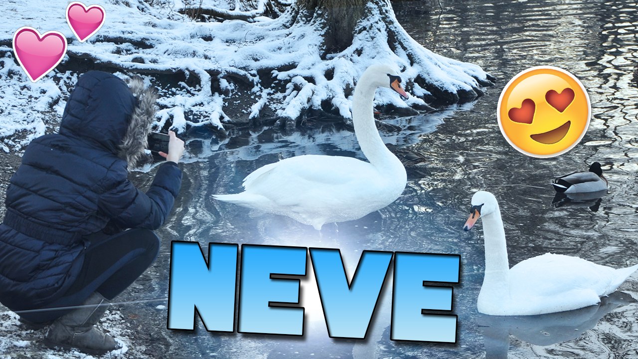 EU NAO ACREDITO QUE NEVOU DE NOVO AQUI