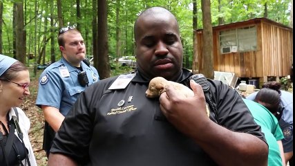 Alarmant, ce trafic de chiots qui continue de sévir.